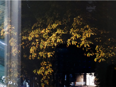 un pli du bord du monde