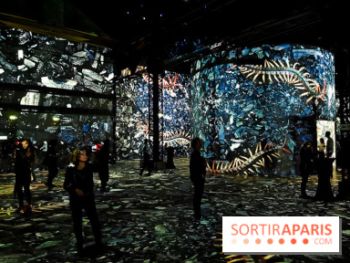 Immersive Art Festival 2019 à L'Atelier des Lumières à Paris