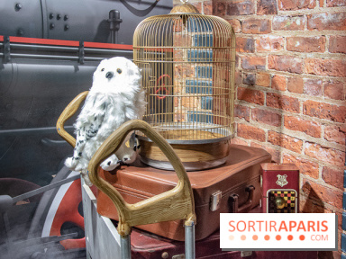 Wizarding World, la boutique officielle Harry Potter au Village JouéClub de Paris