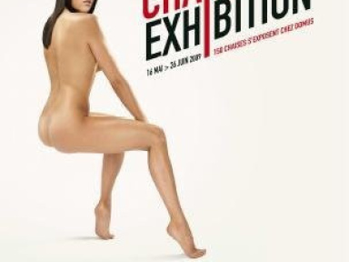 domus, exposition, maison, rosny