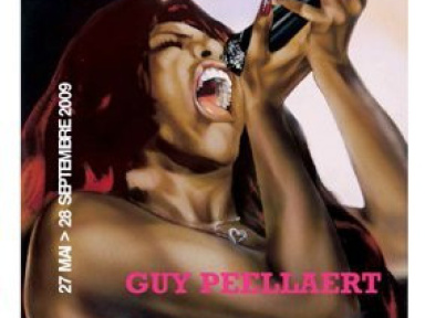 paris musée maillol guy peellaert