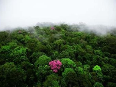 expo paris yann arthus bertrand