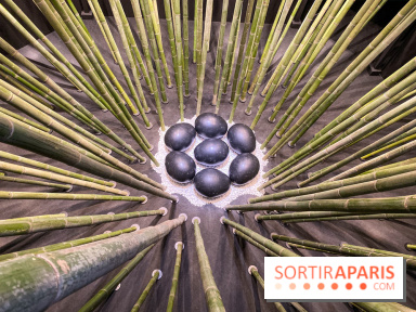 Black Bamboo de Nils-Udo à la Fondation EDF