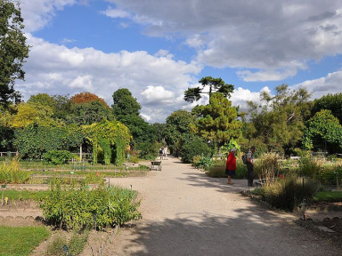 Des médecins demandent la réouverture des parcs et des jardins à Paris