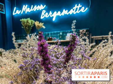 Bergamotte Kinfolk, la nouvelle collection de fleurs séchées naturellement visuel