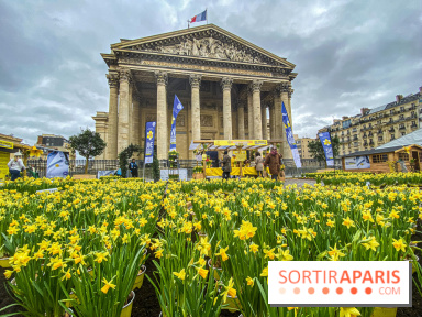 Une Jonquille pour Curie au Panthéon