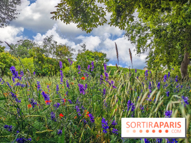 Visuel Paris Jardin des Plantes - Muséum MNHN