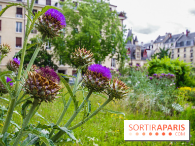 Le jardin des Arts-Albert Schweitzer à Paris, les photos
