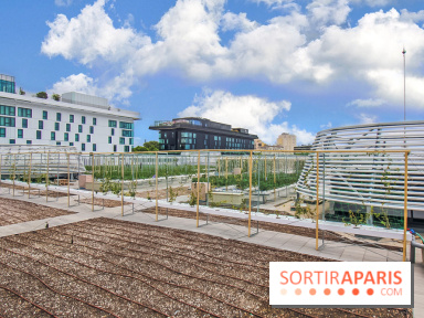 Le Perchoir ferme urbaine Porte de Versailles