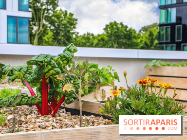 Le Perchoir ferme urbaine Porte de Versailles