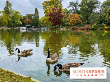 Visuel Paris, Lac Daumesnil bois de Vincennes