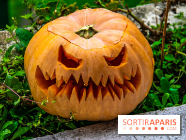 Halloween 2020 : comment creuser sa citrouille ? Le tuto