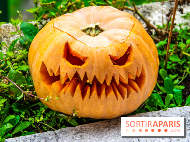 Halloween 2020 : comment creuser sa citrouille ? Le tuto