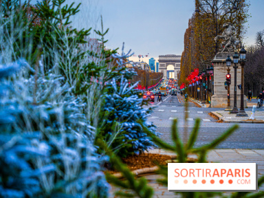 Photos : Illuminations et sapins de Noël Place de la Concorde