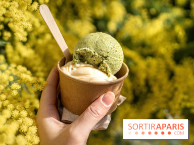 Photos : Wonderland Pâtisserie 