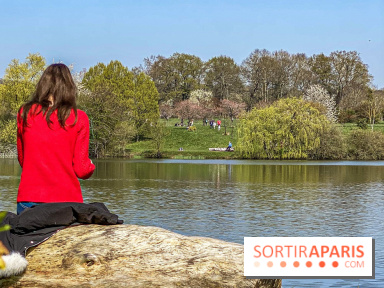 Les cerisiers et arbres en fleurs de l’Arboretum de Chevreloup