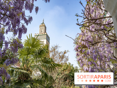 La Mosquée de Paris et son jardin en fleurs