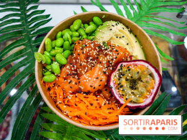 Pokelife, les photos