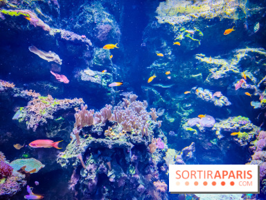 L'Aquarium Tropical de la Porte Dorée