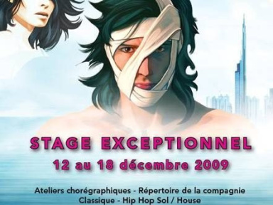 Pietragalla Compagnie, Marie-Claude Pietragalla, Julien Derouault, Romuald Brizolier