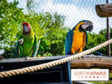 Parrot World, le parc animalier immersif d'Île-de-France
