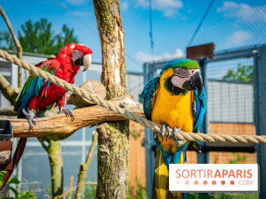Parrot World, le parc animalier immersif d'Île-de-France