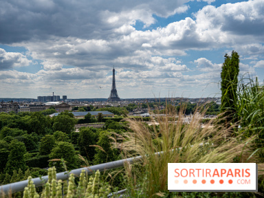 Visuel Paris, vue du Meurice suite Etoile - Tour Eiffel