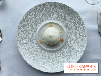 Oiseau Blanc Peninsula