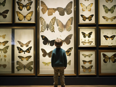 Fête de la Science 2025 : découvrez la collection de Zoologie du campus Jussieu