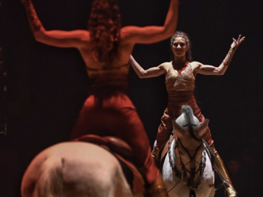 Festival International du Cirque du Val d'Oise (95)