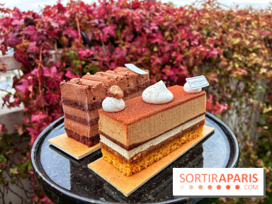 Bûches de Noël végétales 2024 de Land&Monkeys : trois délices vegan à partager