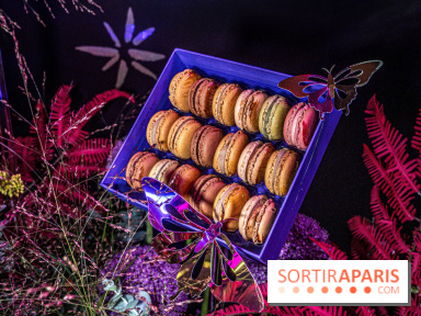 Bûches de Noël de Pierre Hermé 2021 et galettes 2022