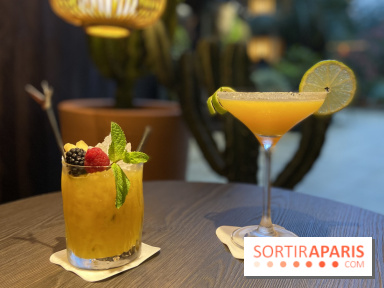 Oceania et sa terrasse en mode jardin méditerranéen à Paris