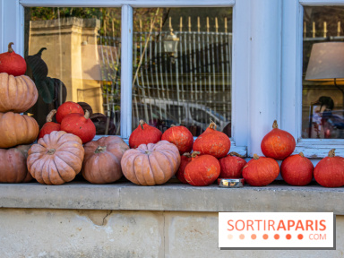 citrouille halloween légumes visuel actualités