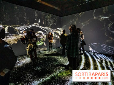 Photos : Odyssée sensorielle, l’expo immersive au Museum 