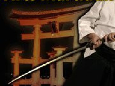 Festival des Arts Martiaux, 25ème édition, Bercy, Sports, Paris