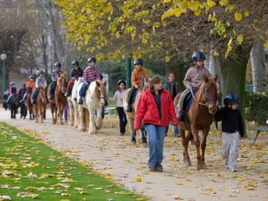 Cheval dans la ville, Parc de Choisy, Equitation, Sport, Paris