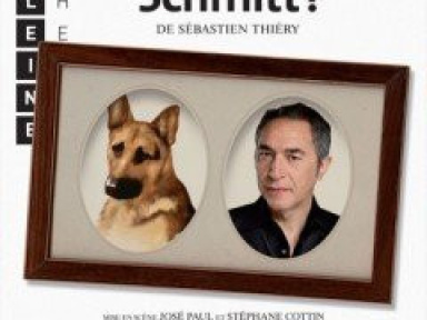 Qui est Monsieur Schmitt, Richard Berry, Théâtre, Madeleine, Paris, Spectacle