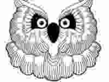 La Dame Noir, Numinots, Maximinot, Krikor, Panic Room, Paris, Soirée