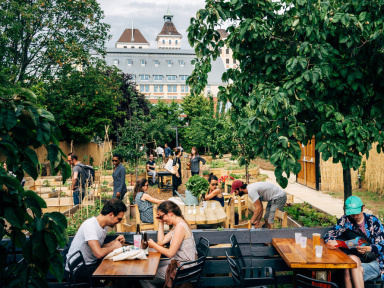 Le Jardin21 : lieu de vie, de partage, et de jardinage !