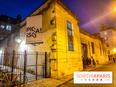 Visuels musée et monument - Musée Picasso nuit
