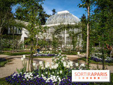 Les jardins du Musée Albert Kahn, nos photos 