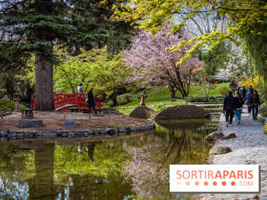 Les jardins du Musée Albert Kahn, nos photos