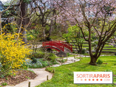 Les jardins du Musée Albert Kahn, nos photos