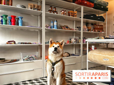 Barkers+Brothers, le concept store canin pour chouchouter son chien à Montmartre