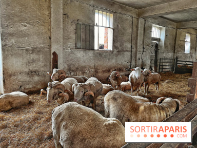 Le Château de Rambouillet et sa Bergerie nationale, un domaine d'exception en Ile-de-France