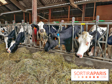 Le Château de Rambouillet et sa Bergerie nationale, un domaine d'exception en Ile-de-France