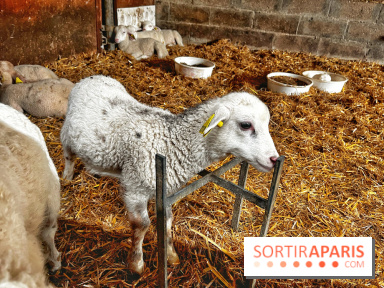 Le Château de Rambouillet et sa Bergerie nationale, un domaine d'exception en Ile-de-France