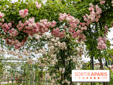 Photos : La Roseraie du val-de-Marne