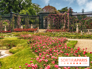 Photos : La Roseraie du val-de-Marne